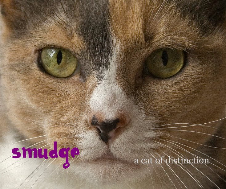 View SMUDGE by Rona Daniels