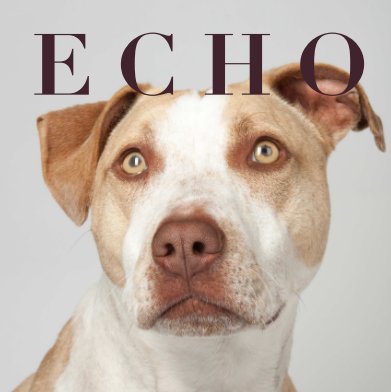 ECHO 2 book cover