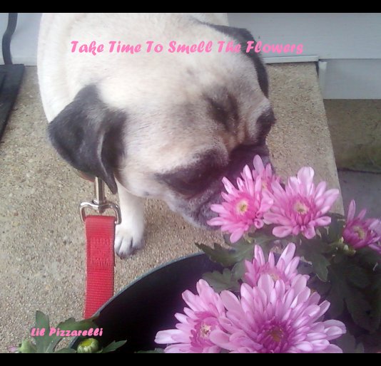 View Take Time To Smell The Flowers by Lil Pizzarelli