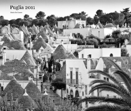 Puglia 2011 book cover