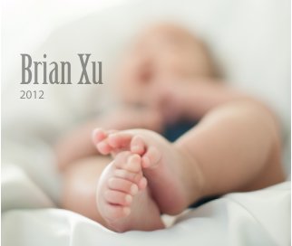 Brian Xu book cover