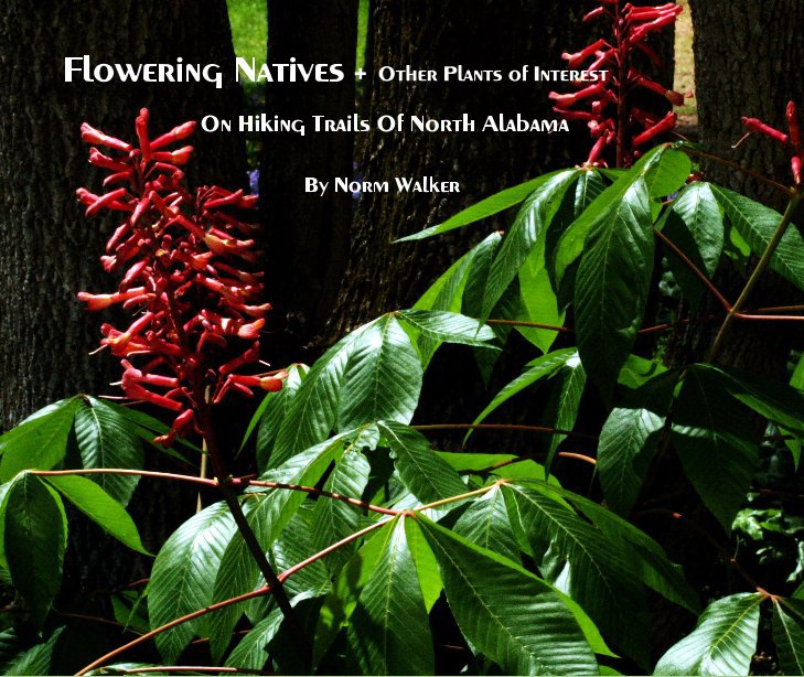 Bekijk Flowering Natives +  Other Plants of Interest op By Norm Walker