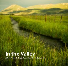 In the Valley book cover