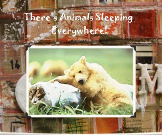 There's Animals Sleeping Everywhere! book cover