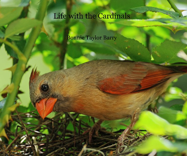 View Life with the Cardinals by Bonnie Taylor Barry