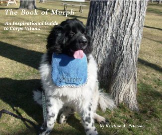 The Book of Murph book cover