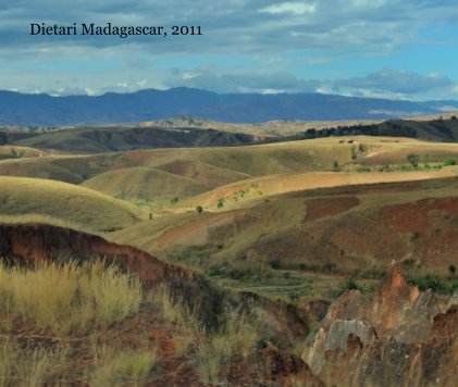 Dietari Madagascar, 2011 book cover