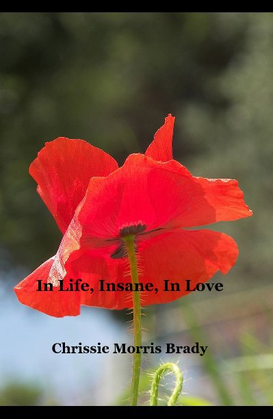 View In Life, Insane, In Love by Chrissie Morris Brady