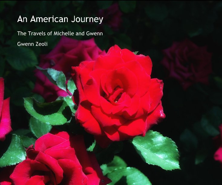 Bekijk An American Journey op Gwenn Zeoli