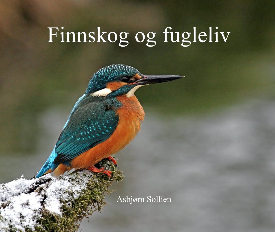 View Finnskog og fugleliv by Asbjørn Sollien