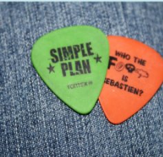 Simple Plan book cover