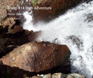 Troop 814 High Adventure book cover