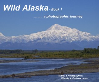 Wild Alaska - Book 1 book cover