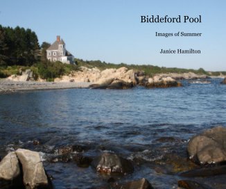 Biddeford Pool book cover