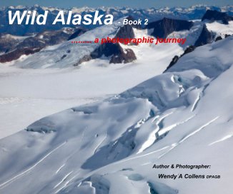 Wild Alaska - Book 2 book cover