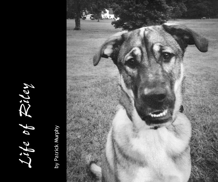 View Life of Riley by Patrick Murphy