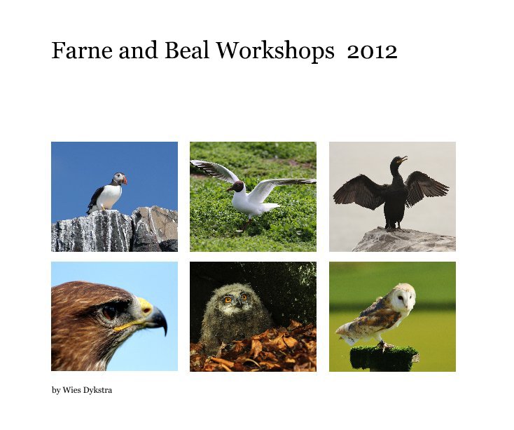 View Farne and Beal Workshops 2012 by Wies Dykstra