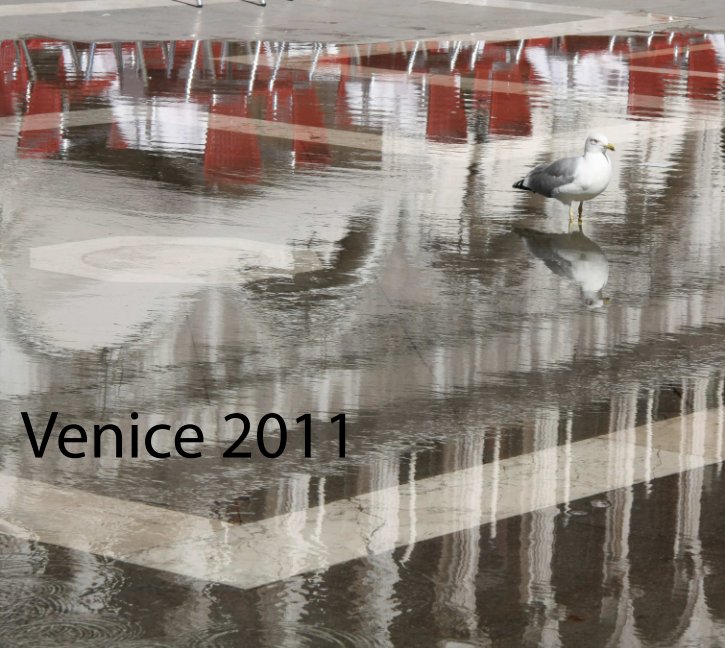 Bekijk Venice 2011 op John Angus