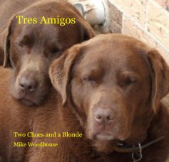 Tres Amigos book cover