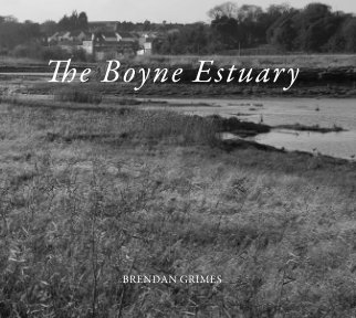 The Boyne Estuary book cover