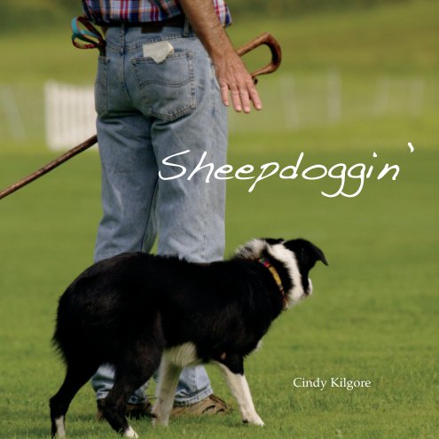 View Sheepdoggin' by cindy kilgore