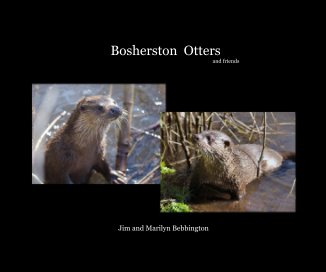 Bosherston Otters and friends book cover