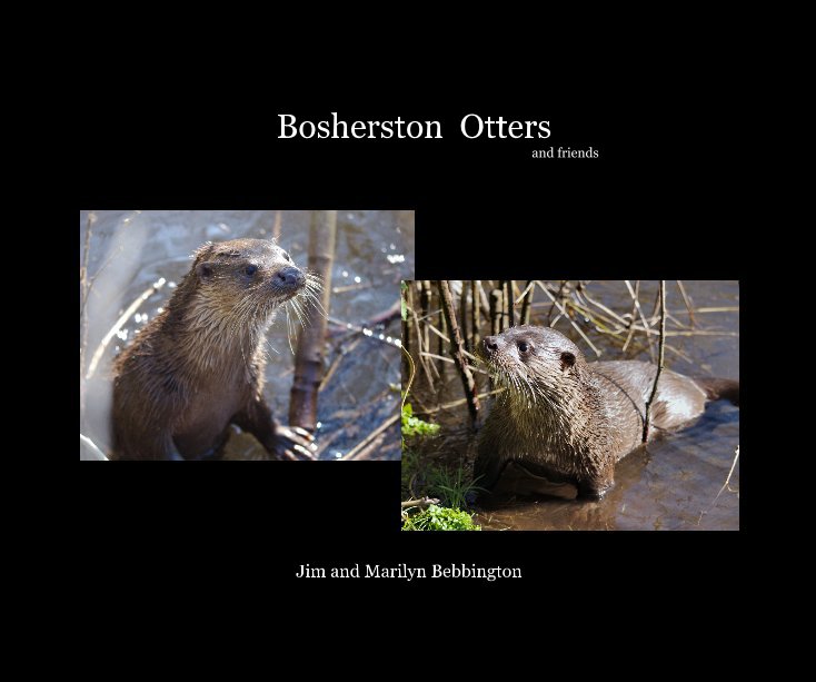 View Bosherston Otters and friends by Jim and Marilyn Bebbington