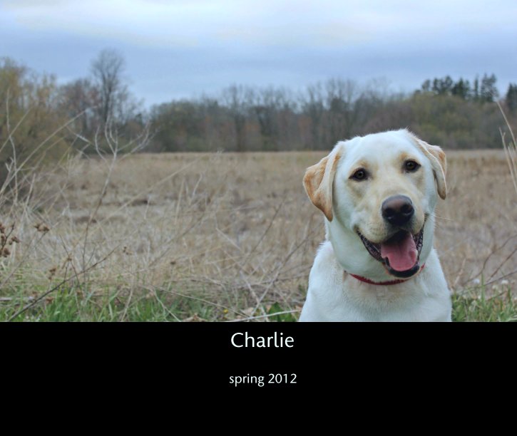 View Charlie by spring 2012