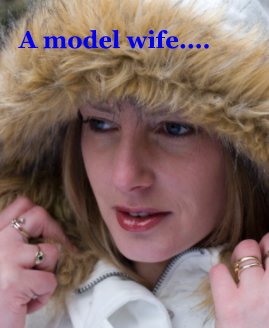 A model wife.... book cover