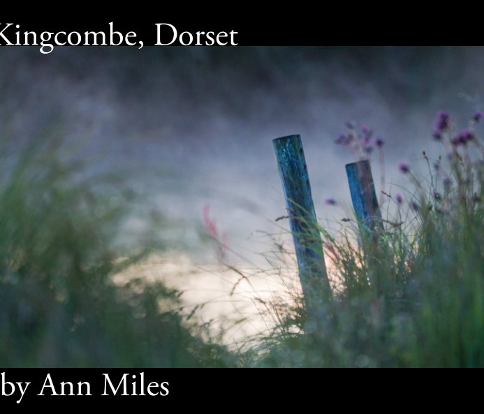 View Kingcombe by Ann Miles