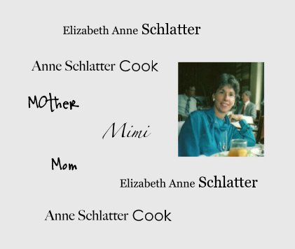 Elizabeth Anne Schlatter book cover