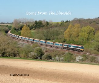 Scene From The Lineside Mark Jamieson book cover