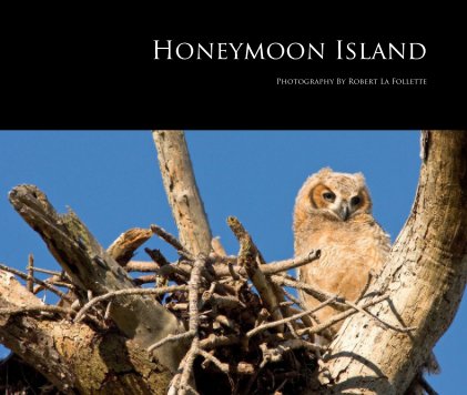Honeymoon Island book cover