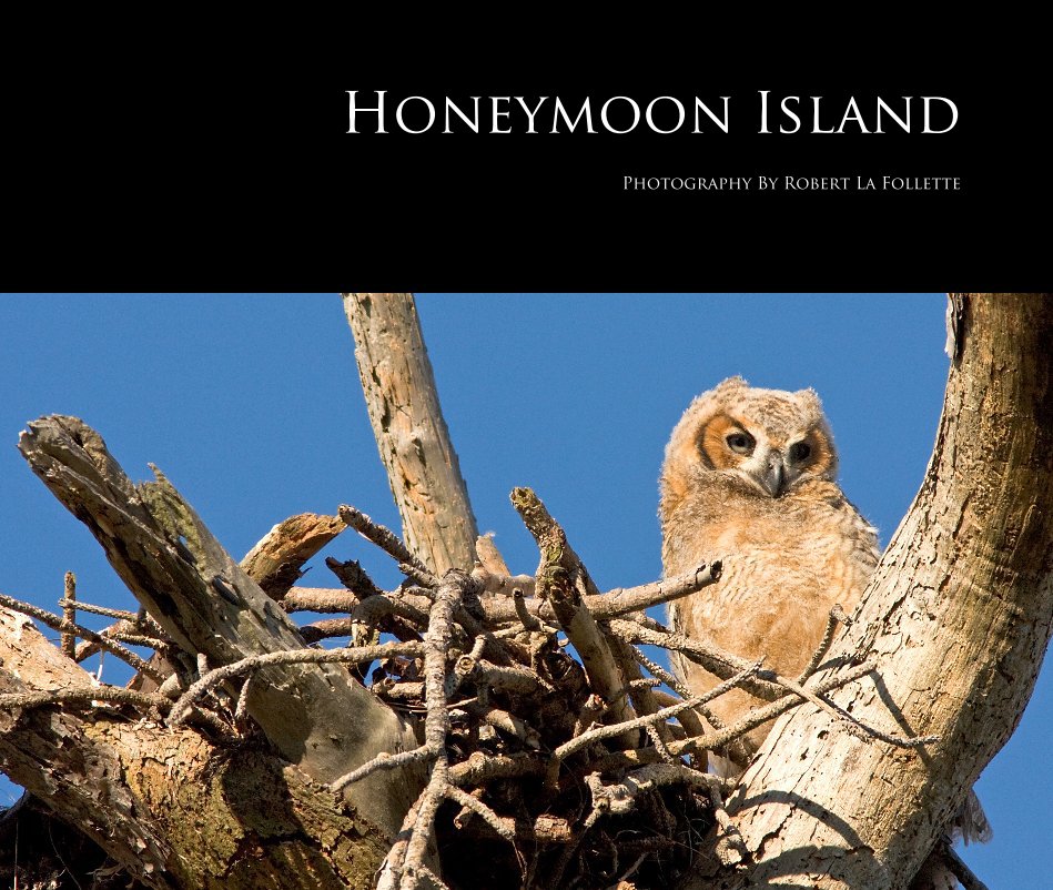 View Honeymoon Island by Robert La Follette