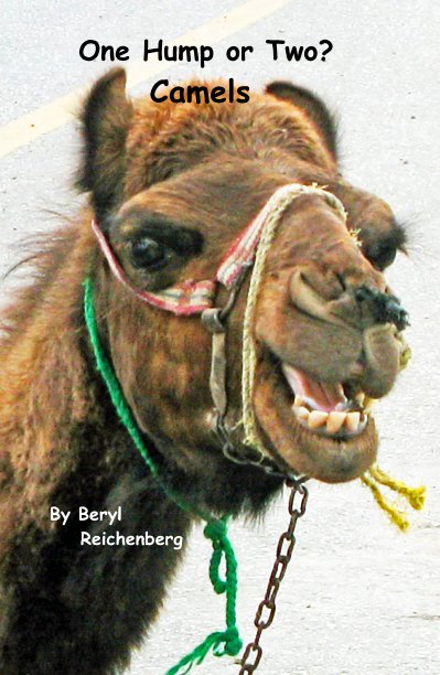 View One Hump or Two? Camels by Beryl Reichenberg