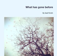 What has gone before book cover