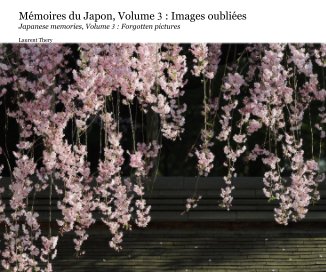 Japanese memories, Volume 3 : Forgotten pictures book cover