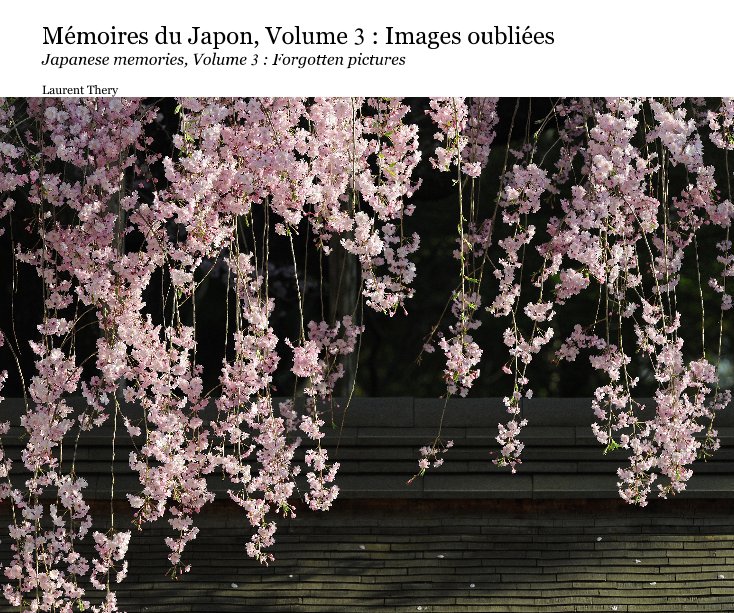 Ver Japanese memories, Volume 3 : Forgotten pictures por Laurent Thery