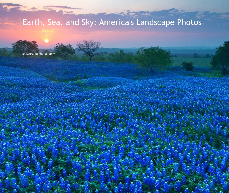 View Earth, Sea, and Sky: America's Landscape Photos by Laura Vu Photography
