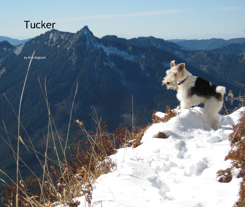 View Tucker by Kris Hoglund