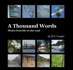 A Thousand Words book cover