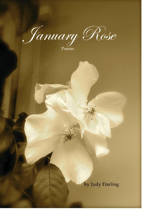 View January Rose Poems by Judy Darling