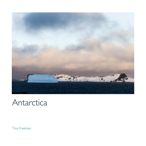 View Antarctica by Tina Freeman