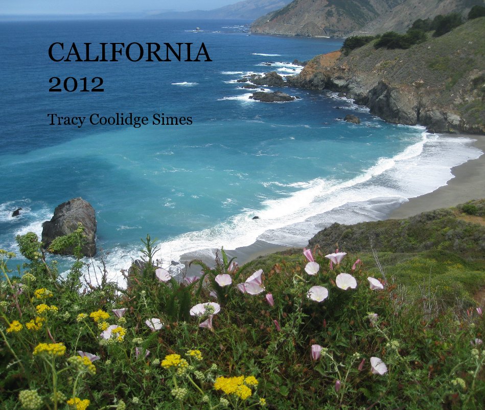 View CALIFORNIA 2012 by Tracy Coolidge Simes