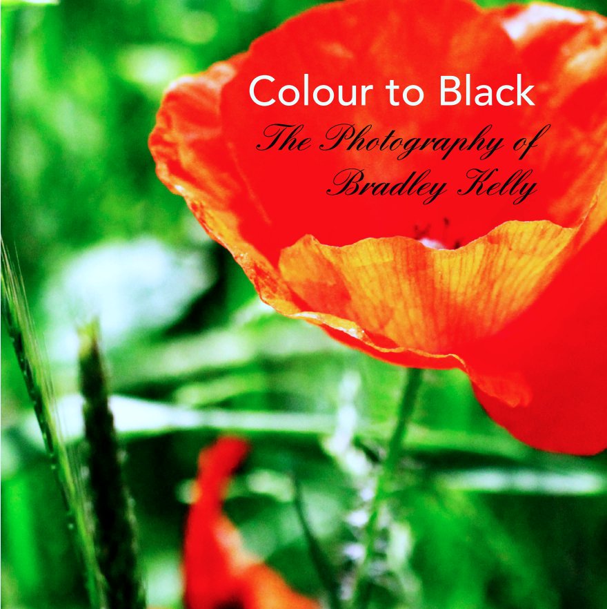 View Colour to Black by Bradley Kelly