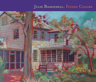 Julie Baxendell: Flying Colors book cover