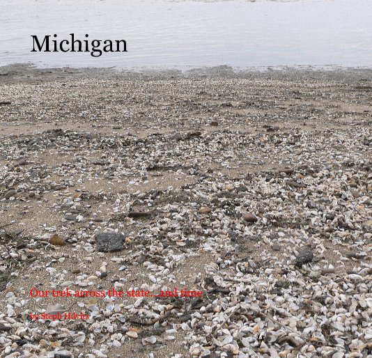 View Michigan by Steph Hilvitz