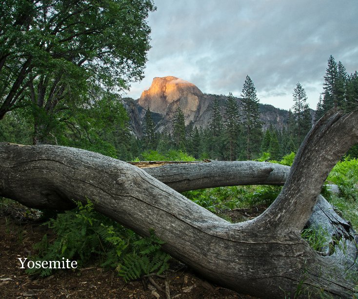 View Yosemite by Patrick St.Onge