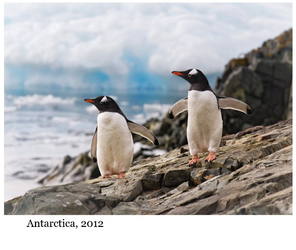 View Antarctica, 2012 by Karen J. Hunt