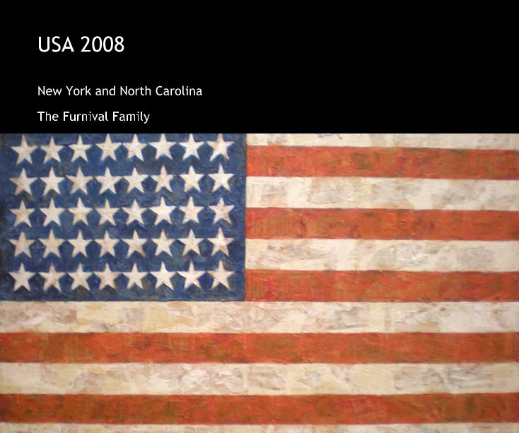 Ver USA 2008 por The Furnival Family